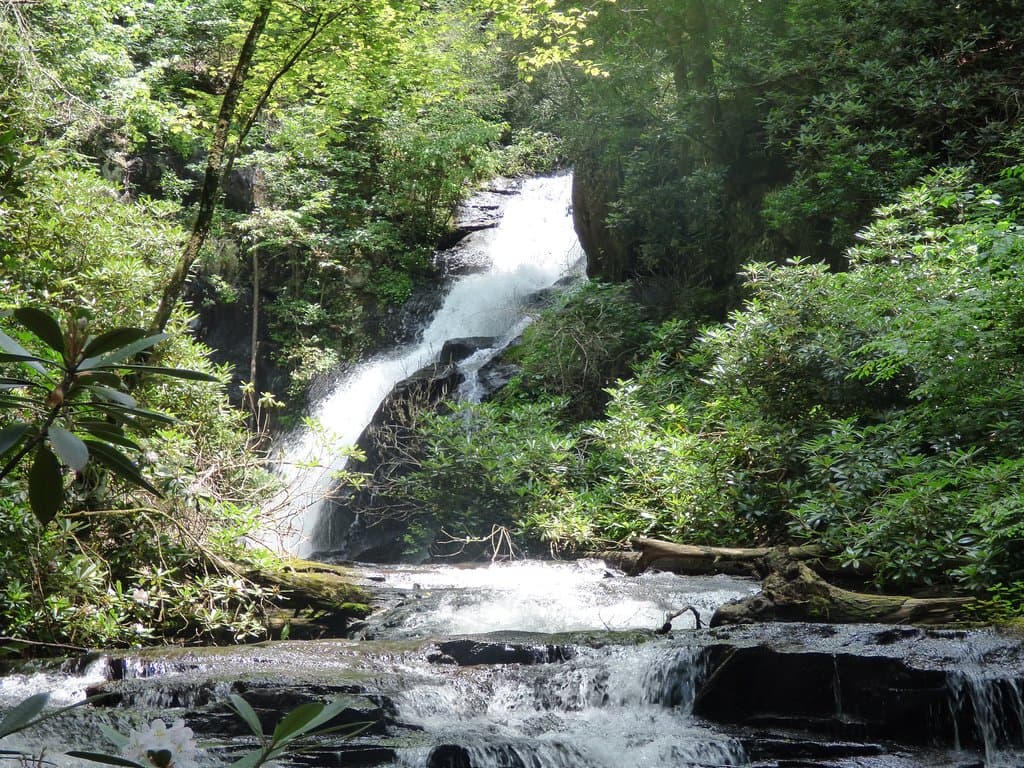 view from downstream