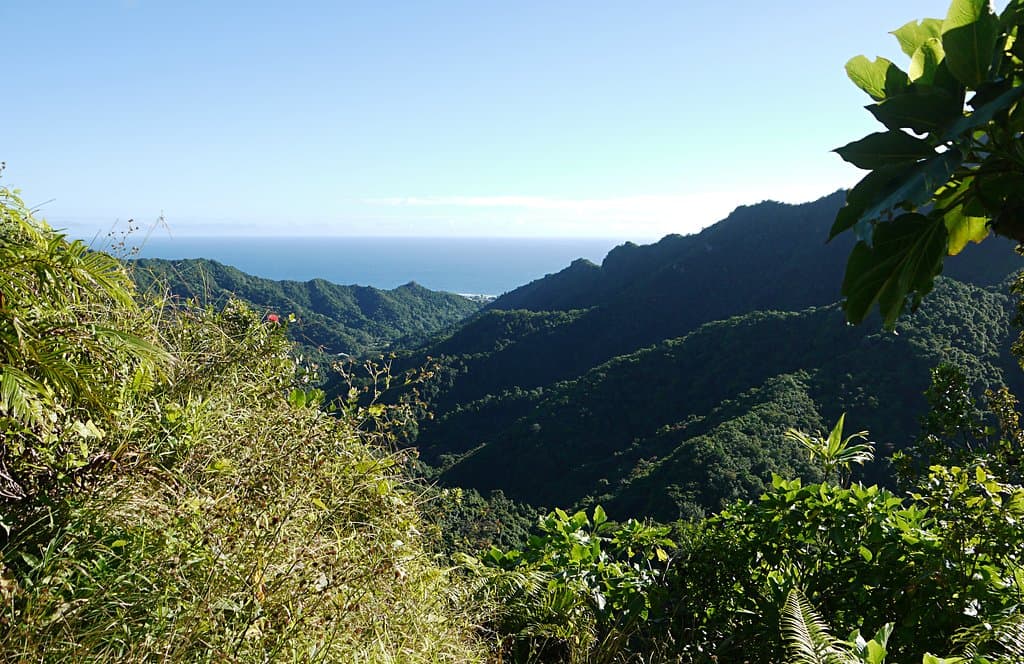View from Te Rua Manga