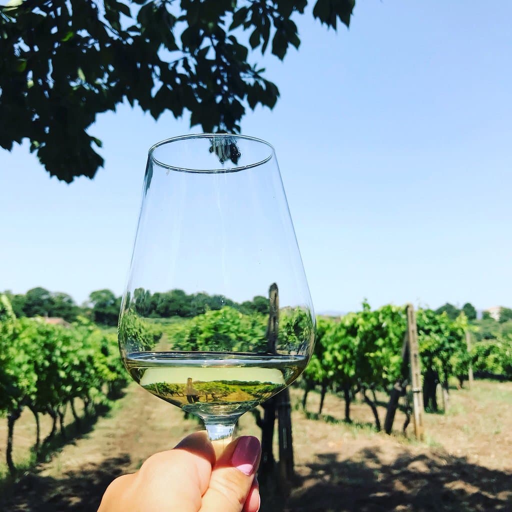 So beautiful place!! You have to visit Tenuta di Fessina