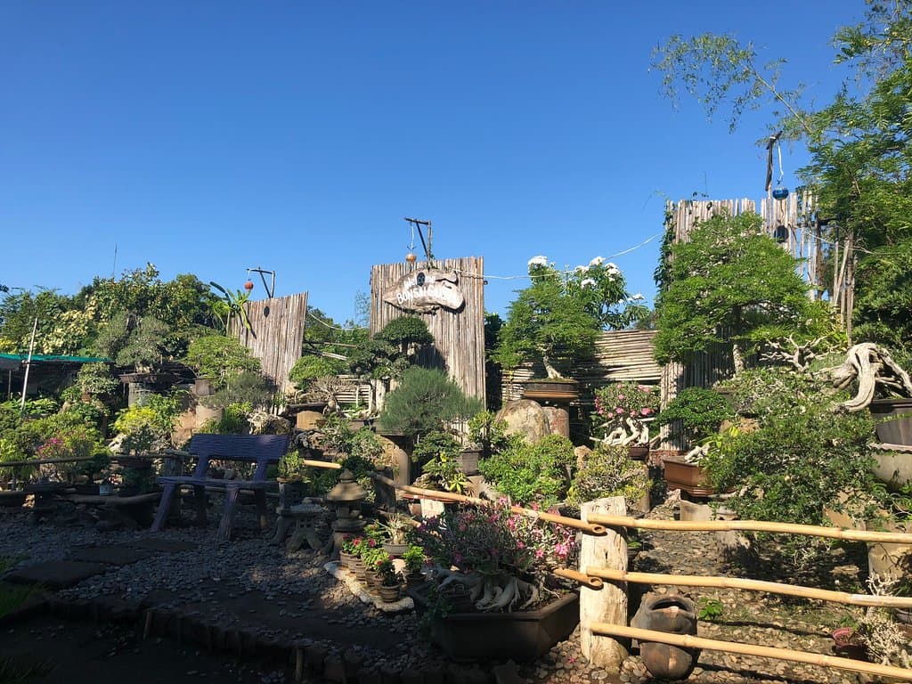 Hidden Garden