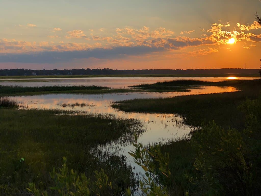 James Island County Park