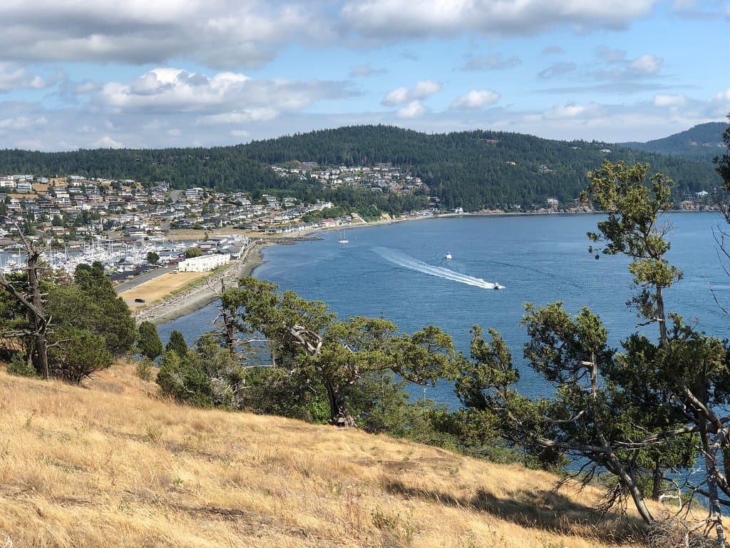 Looking towards Skyline Marina from Washington Park Loop.