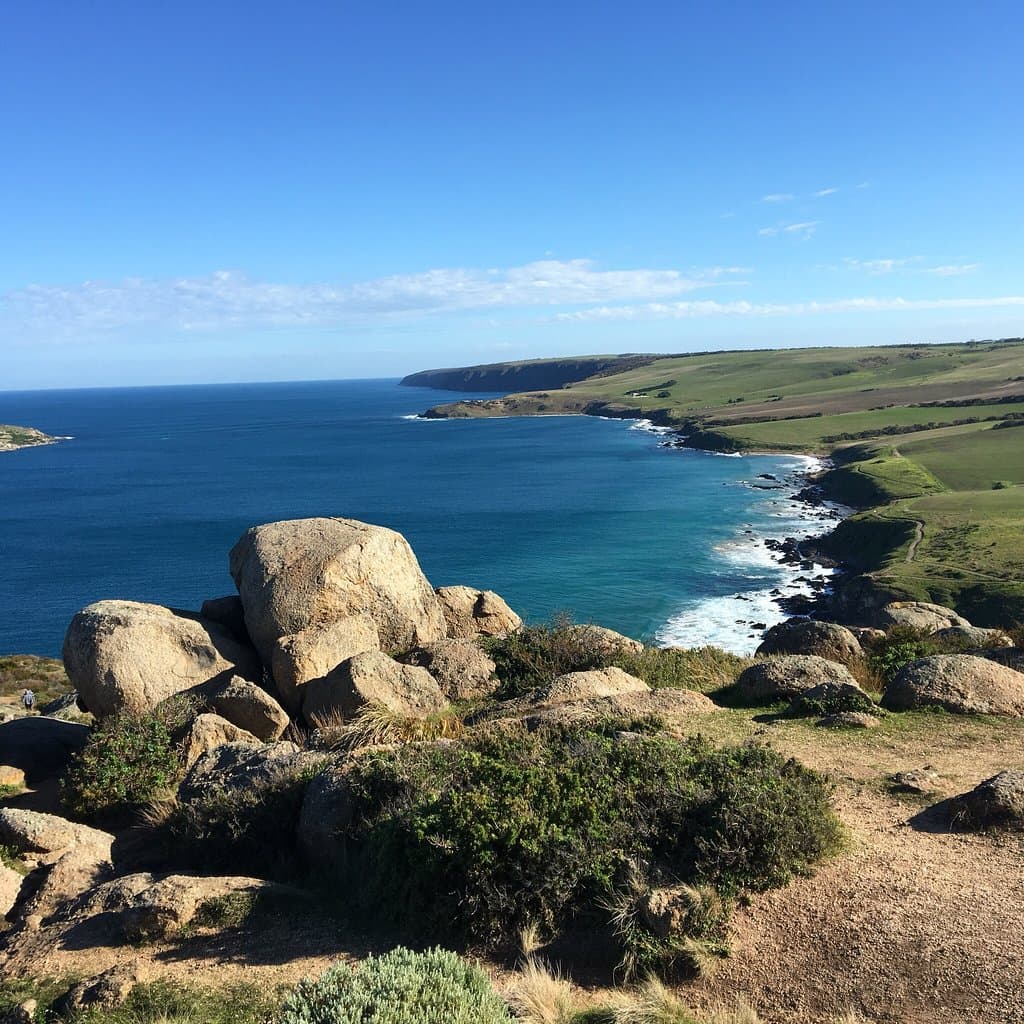 The Bluff Rosetta Head