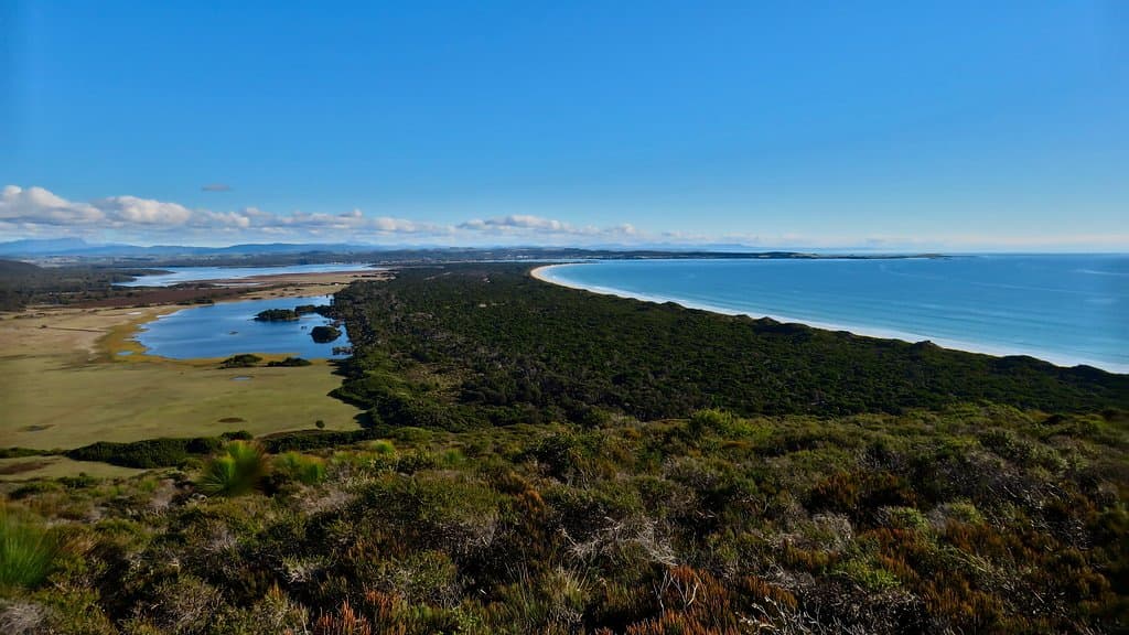 Ocean, forest and grassland