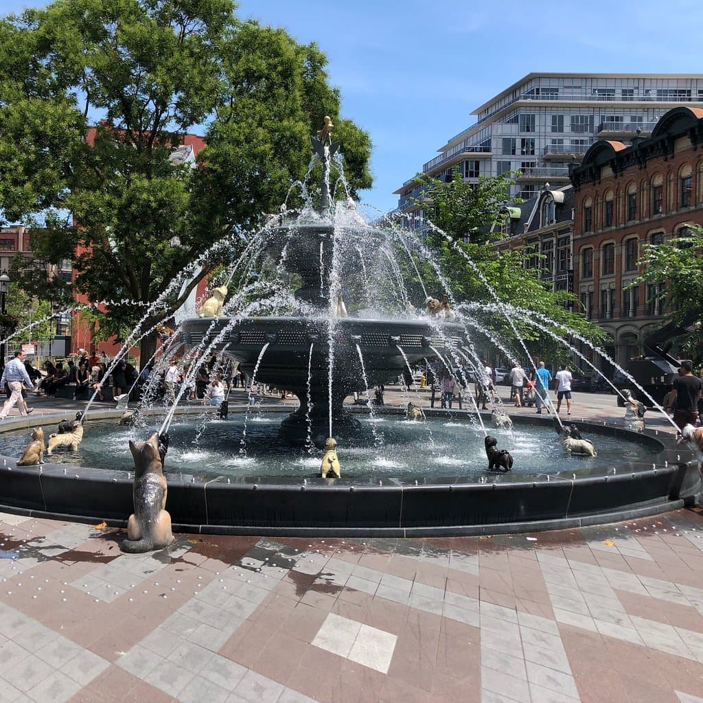 Explore the Berczy Park Dog Fountain