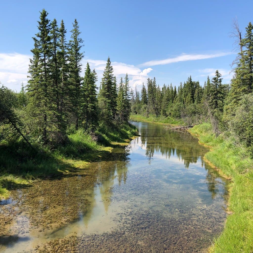 Weaselhead Flats