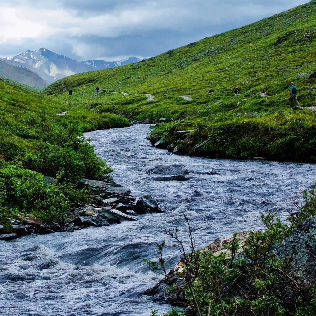 These were taken early July. You need a jacket and gloves. The only wildlife we saw was Precious