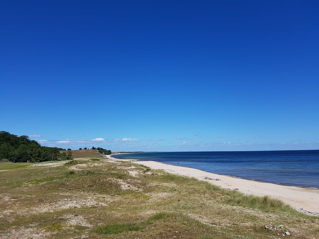 Meadows close to beach, between Vik and Baskemölla.