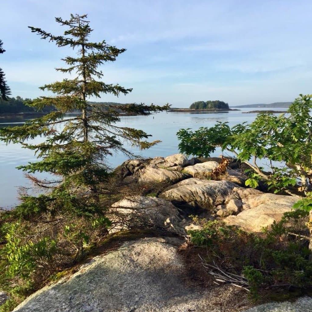 Porter Preserve