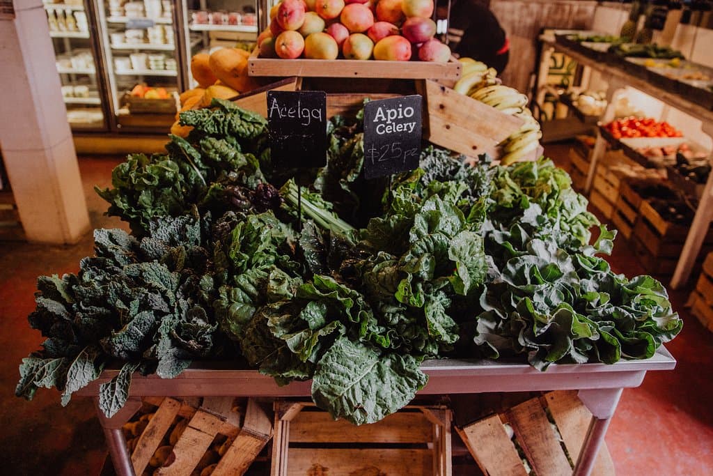 Offering organic produce harvested every day from local, sustainable farms