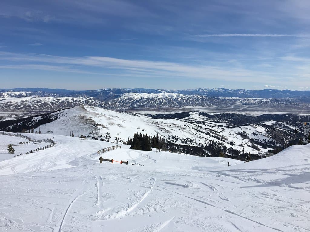 The view
