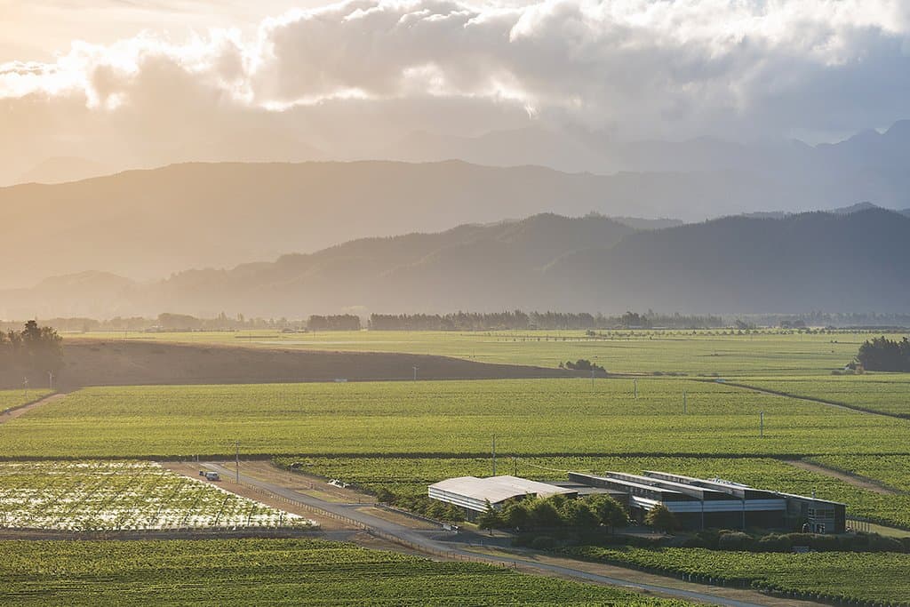 Our whole operation is under one roof in the middle of our vines