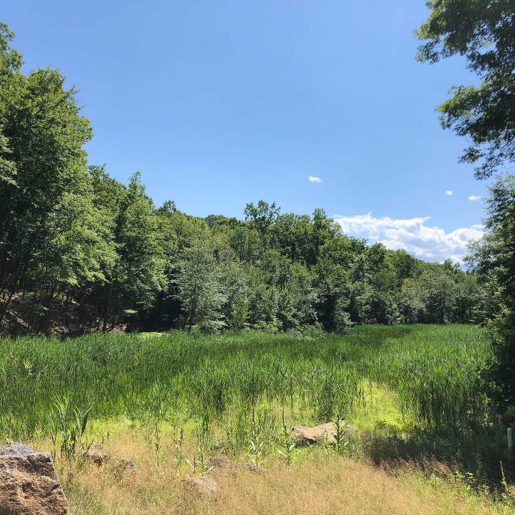 Hike at Blue Mountain Reservation