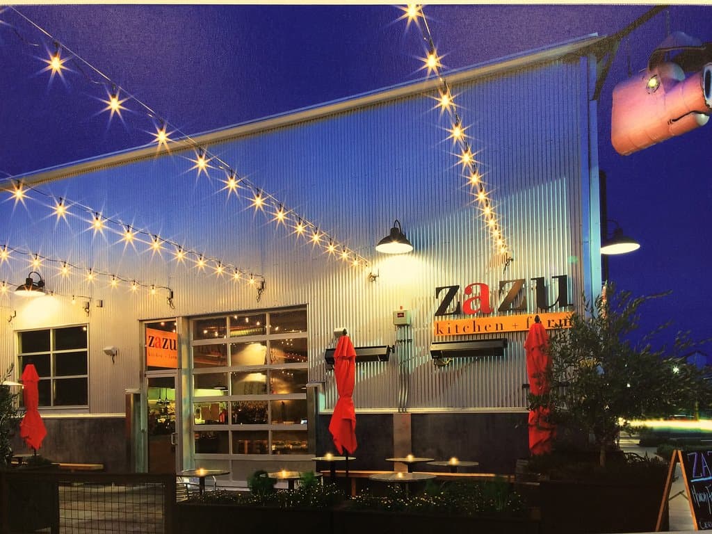 Zazu 