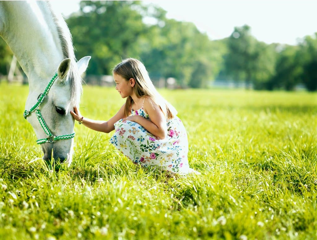 Lipica Stud Farm