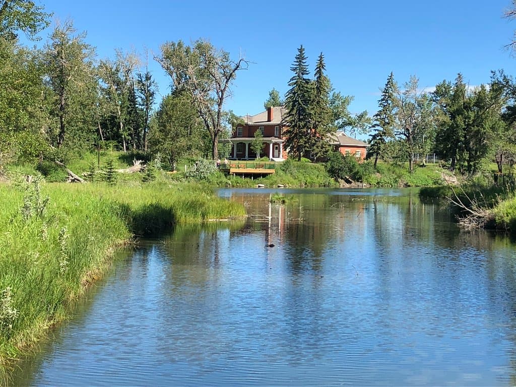 So tranquil.