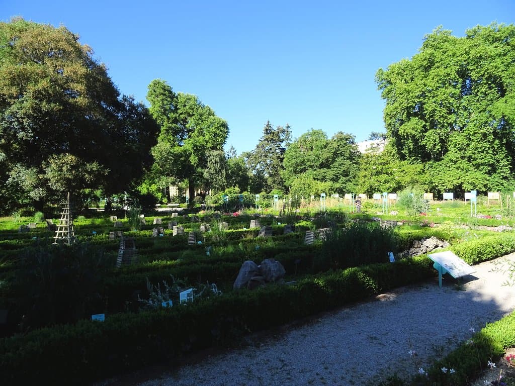 Jardin botanique
