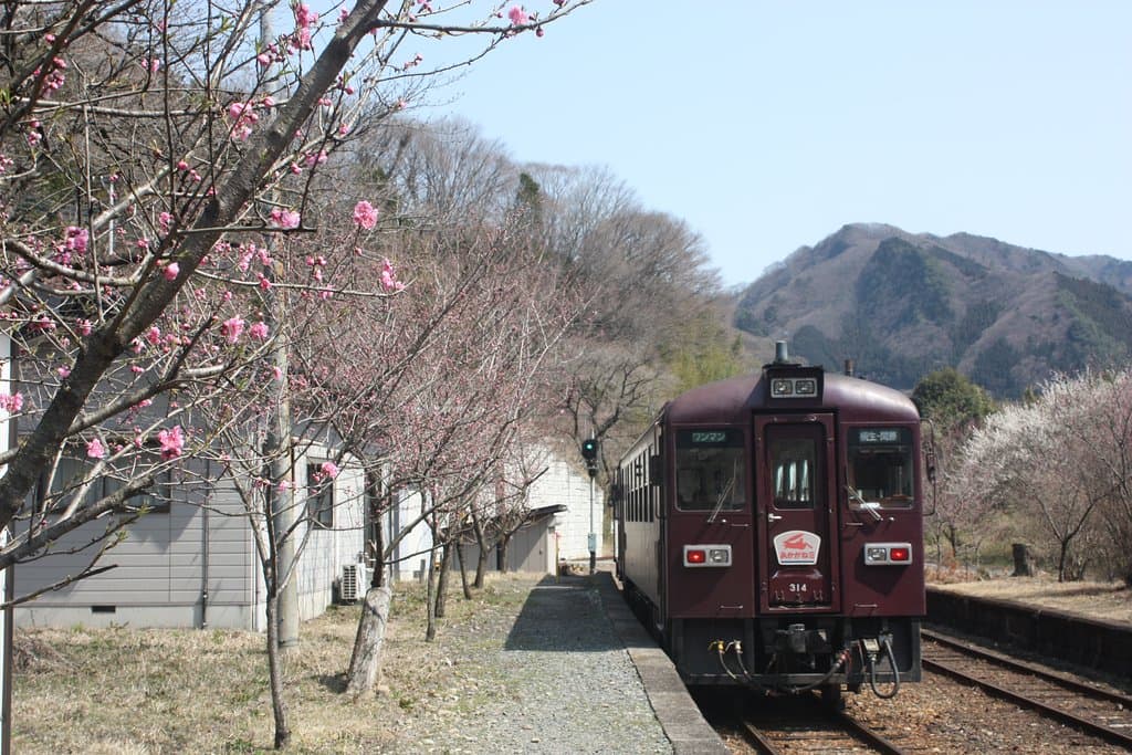 神戸にて