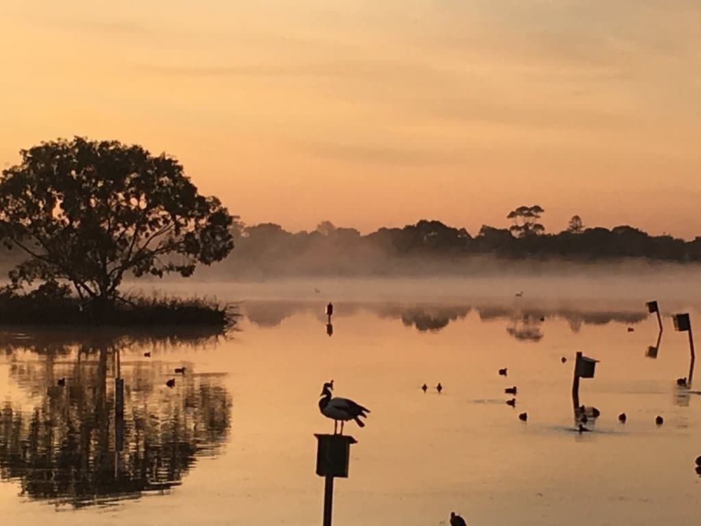 winter sunrise