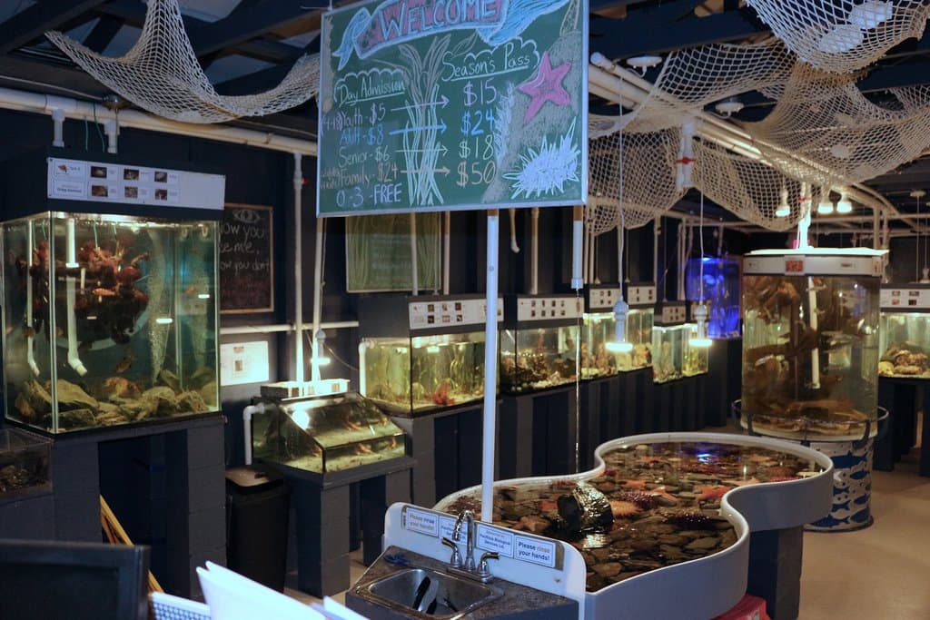 New year, new species, new tanks! Come check out our brand new touch tank!