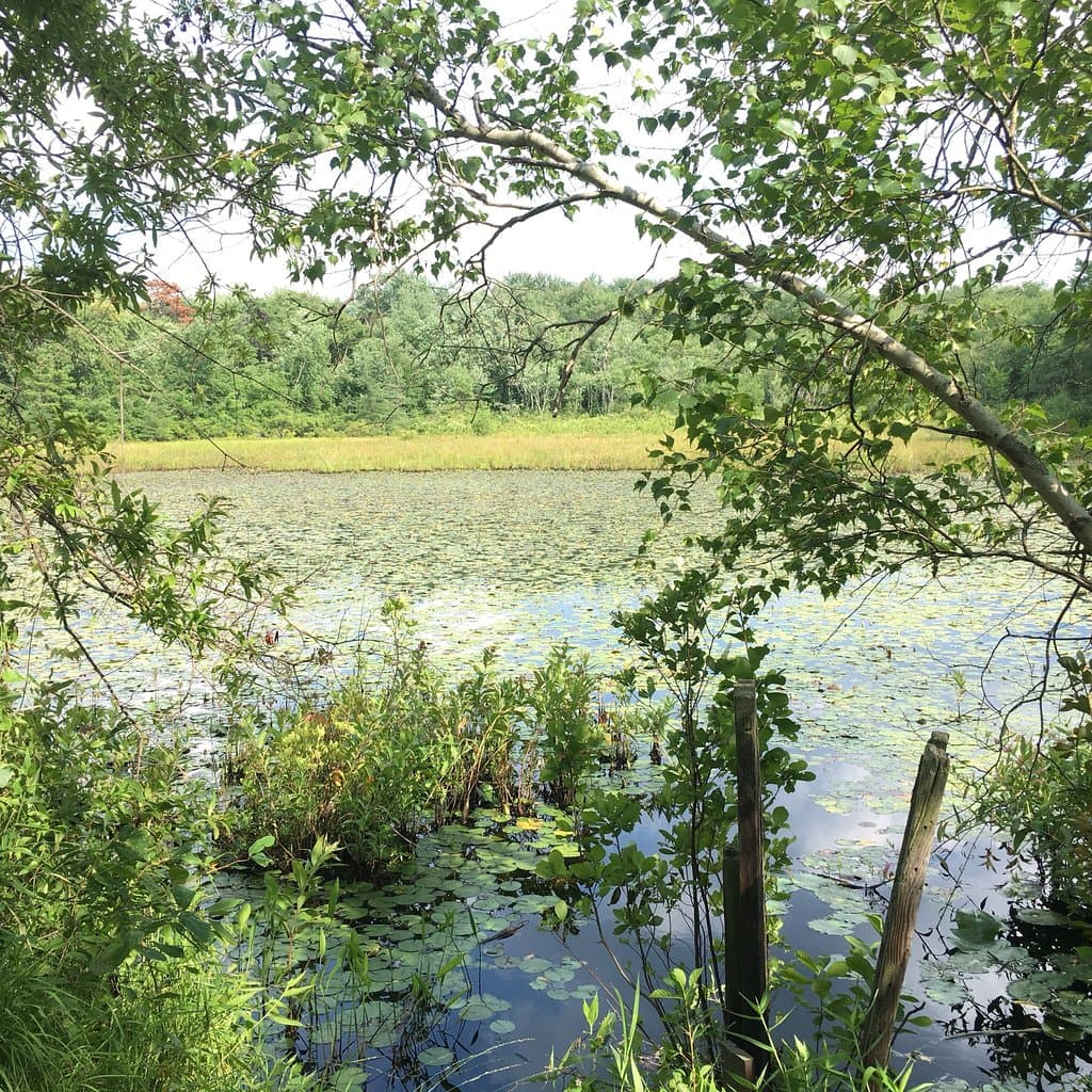 Black Run Preserve