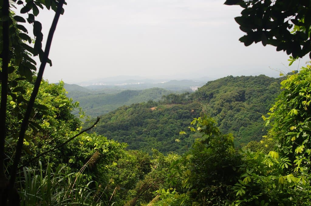 You can see for miles. Amazing that the GZ metropolis is only a couple of hours away