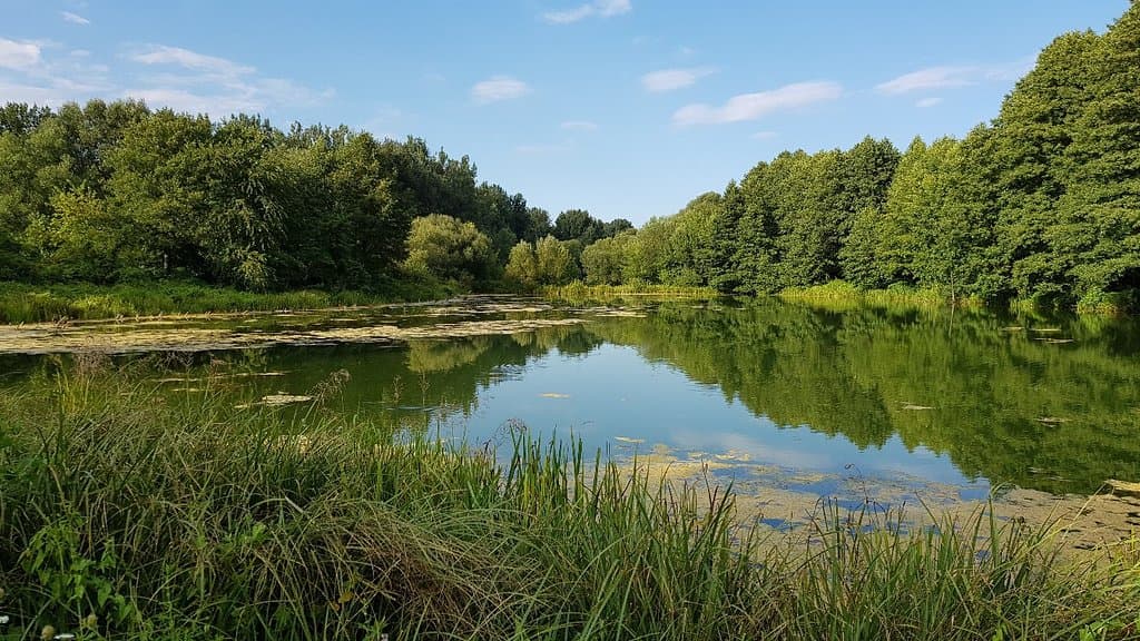 Blue Springs Tomaszów Mazowiecki