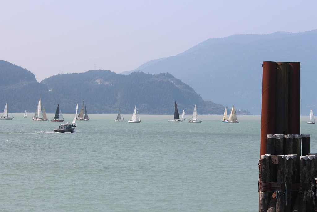 Regata from the shore