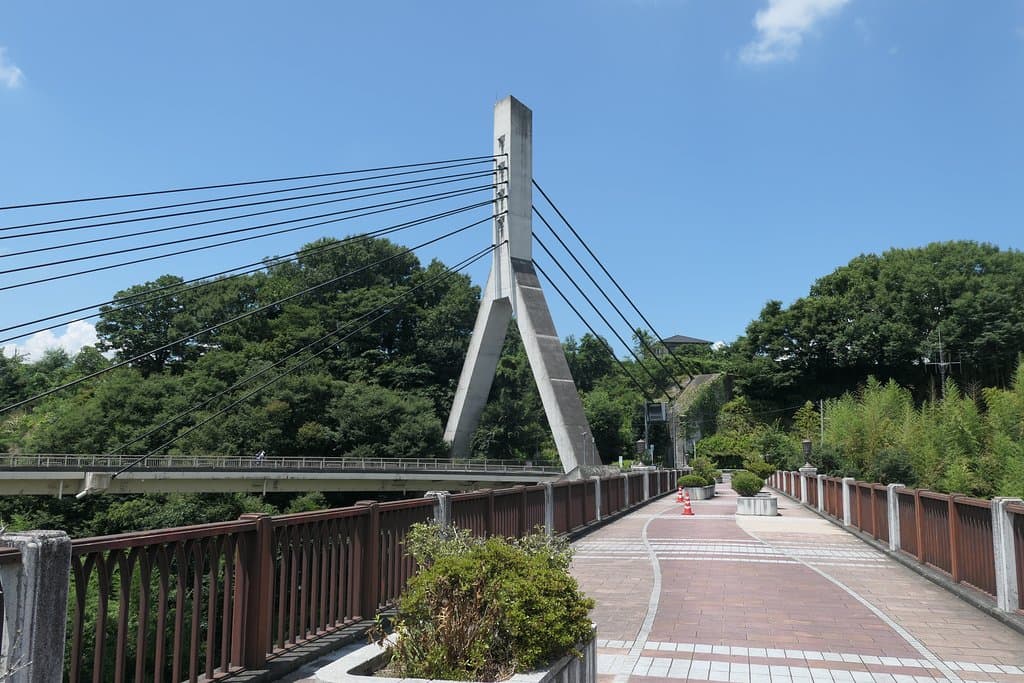 隣接する3代目秩父橋。埼玉県初の斜張橋。　　大きく立派な橋です。