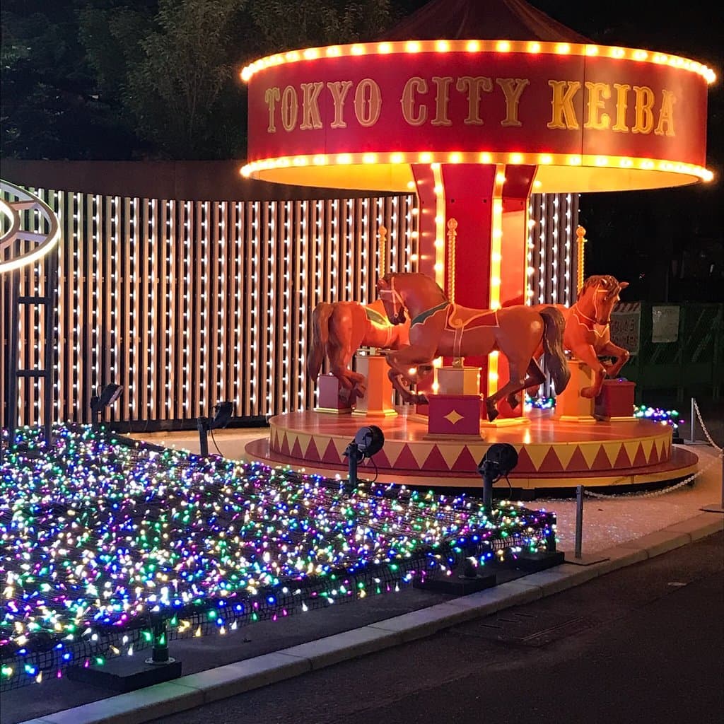 Tokyo Mega Illumination