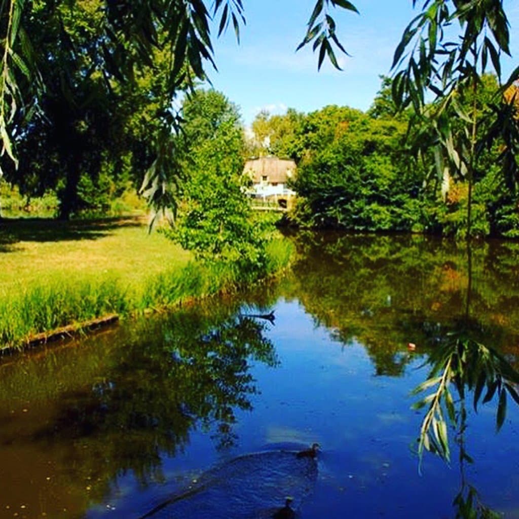 Hoge Bergse Bos