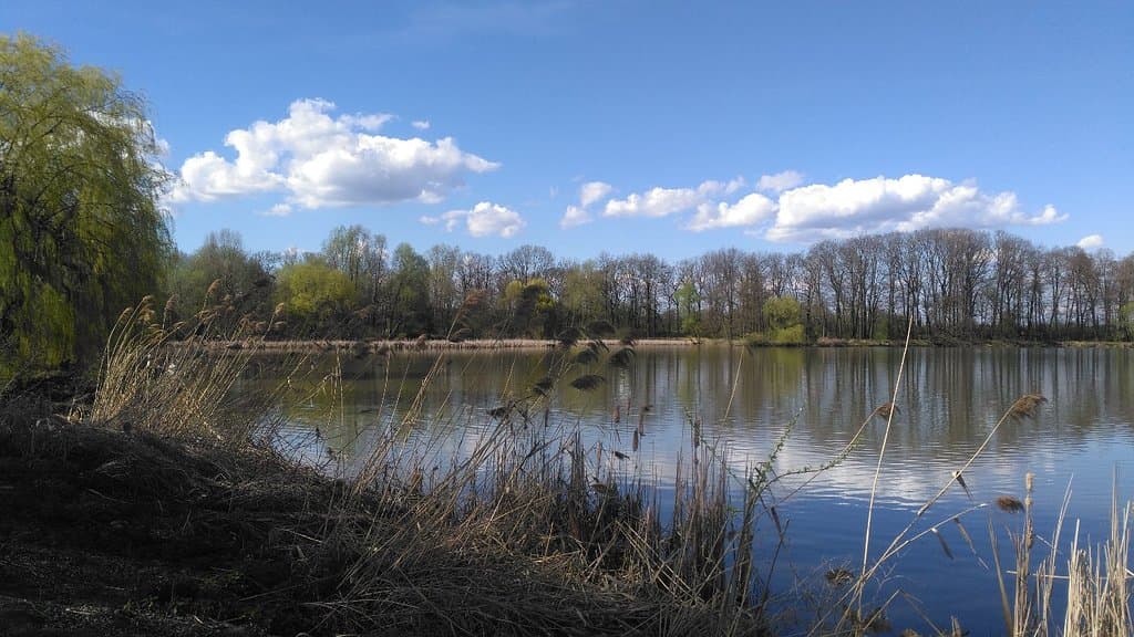 Poodří PLA Polanská niva