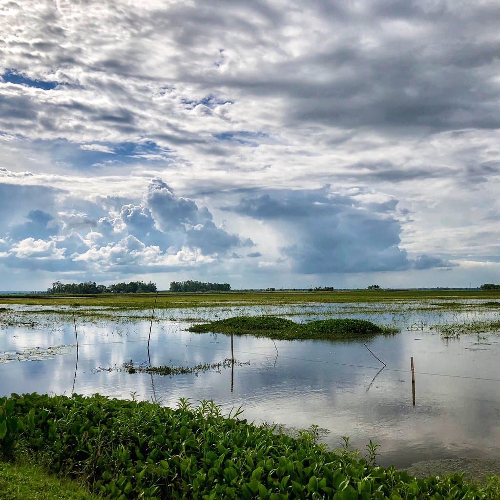 Baikka Beel Sanctuary