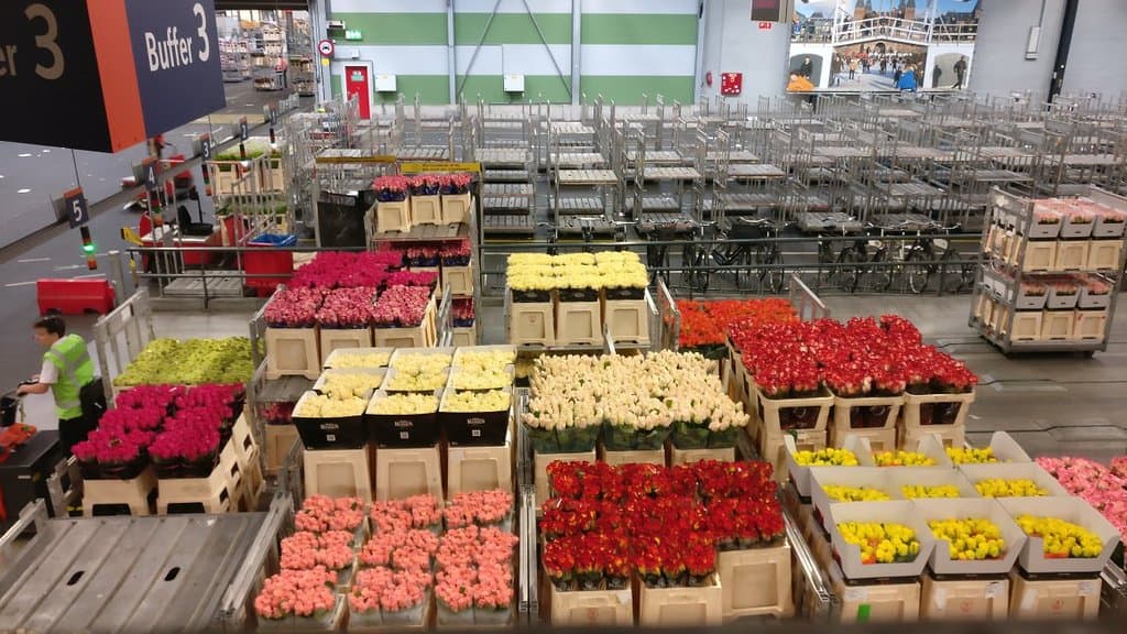 Royal FloraHolland Aalsmeer