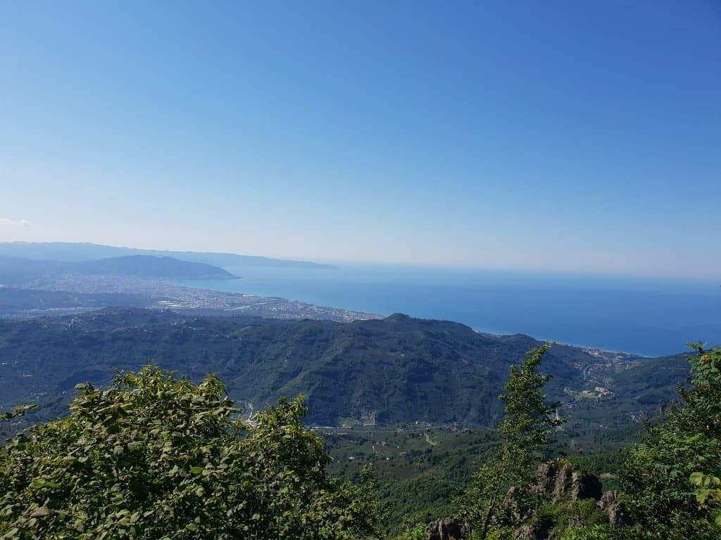 Yoroz City Forest