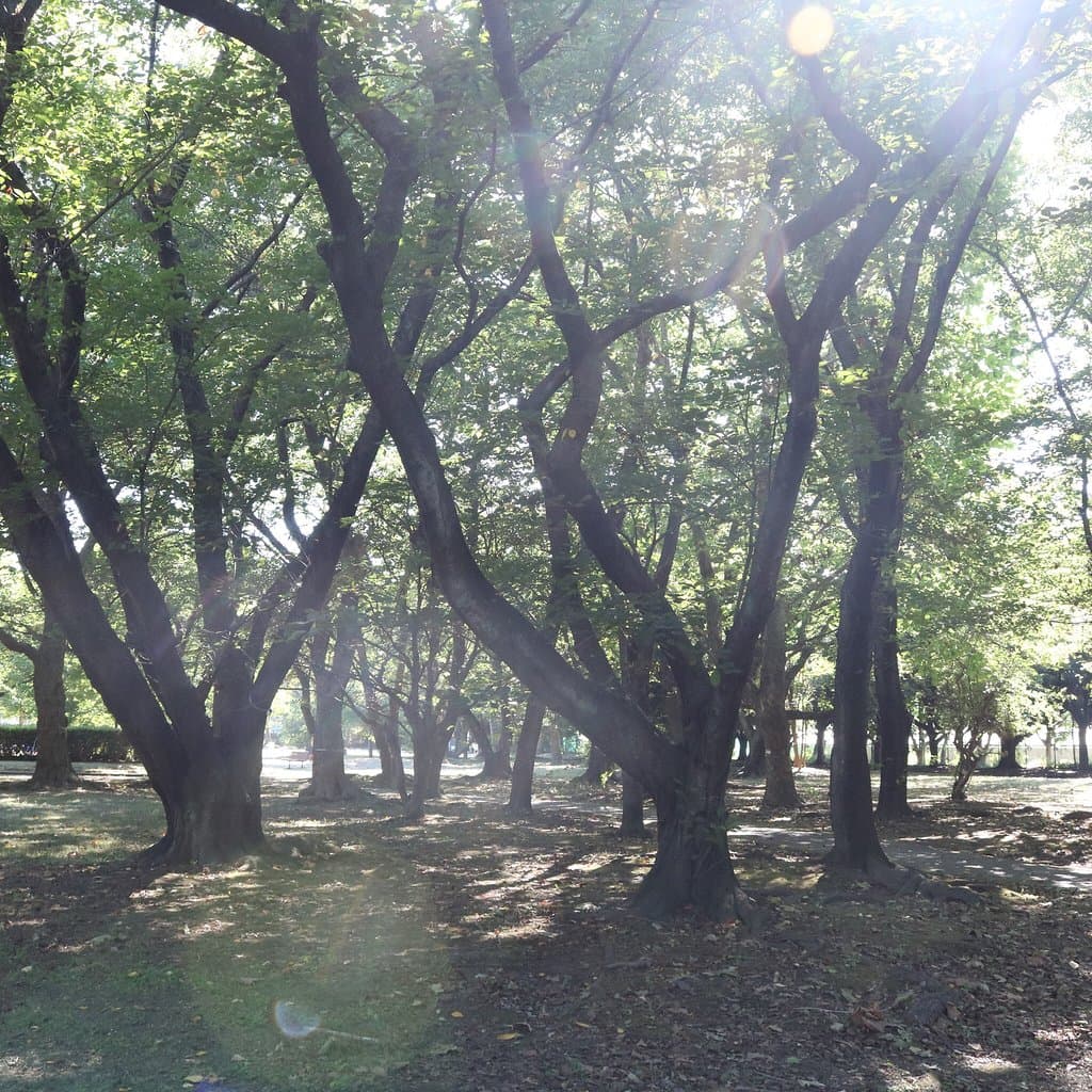 美浜公園
