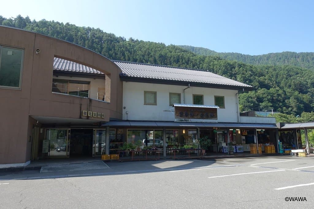 Healthy Mori Matsumoto