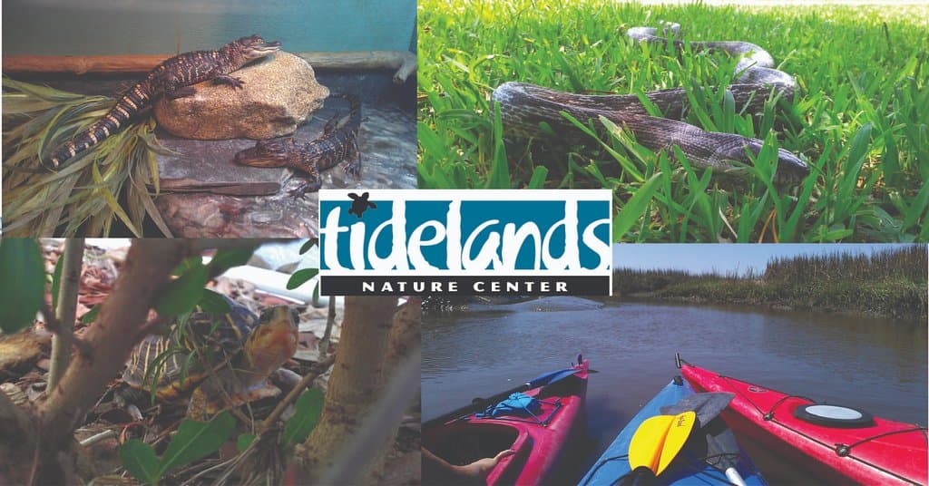 Alligators, turtles, snakes, and kayak tours are only a few of the things to see and do at Tidel