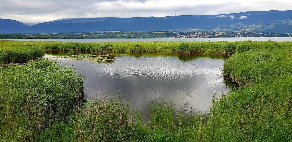 Pro Natura Center Champ-Pittet