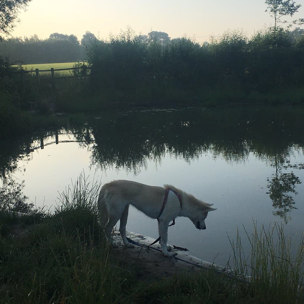 Southwick Country Park and Hope Nature Centre