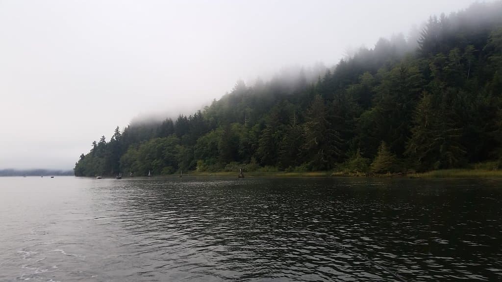 Bolon Island from the Umpqua River.