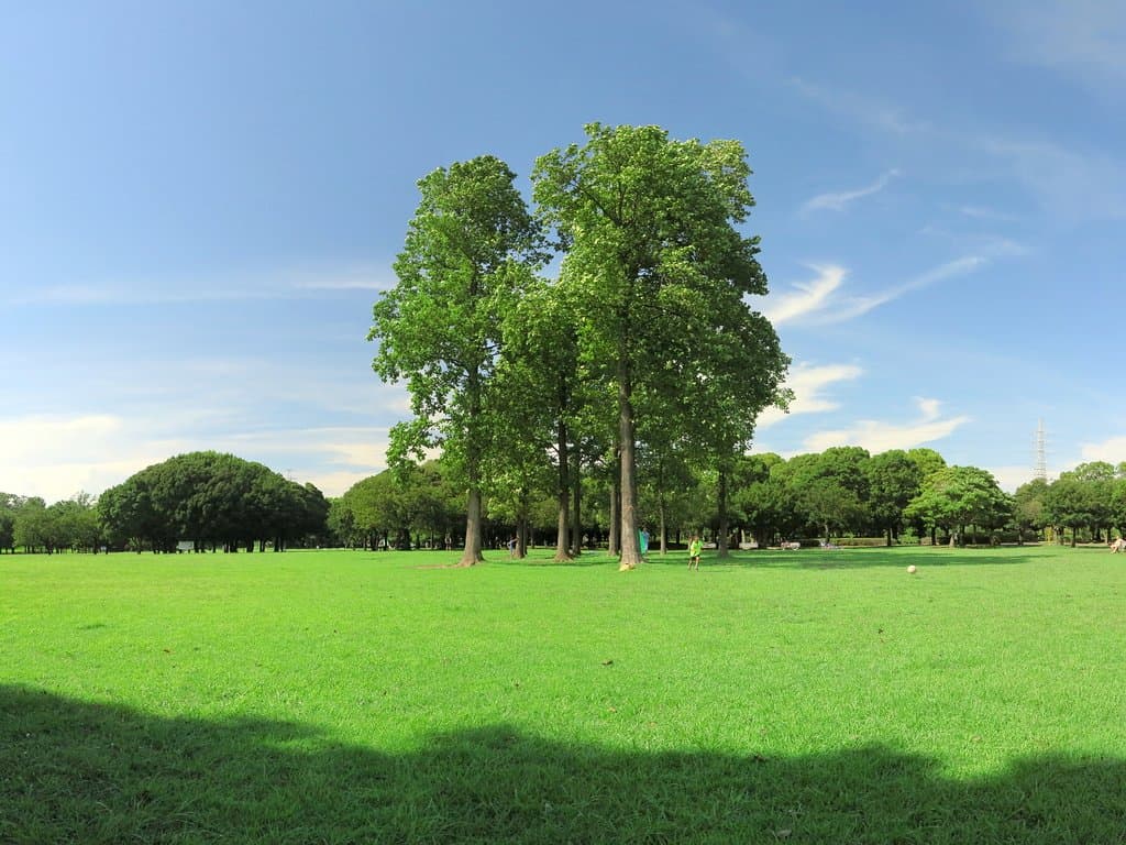 Kishine Park
