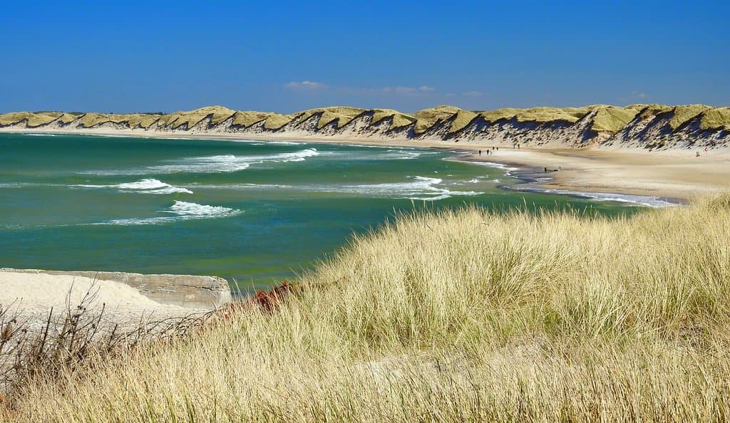 Bugten imod Bøgestedrende