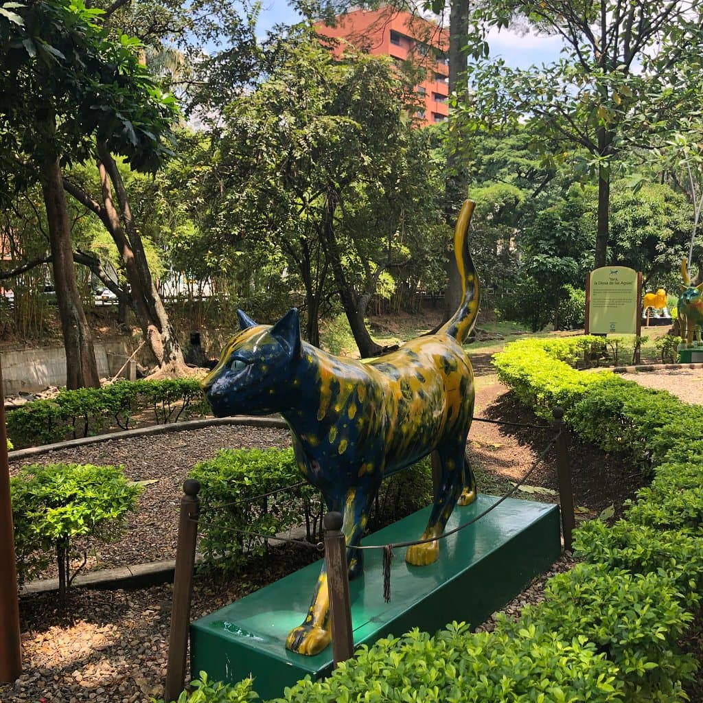 El Gato del Río