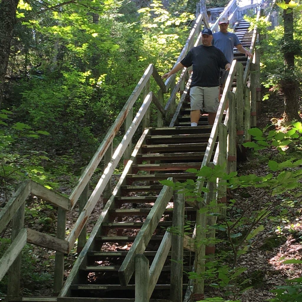 Montagne à Coton Trail