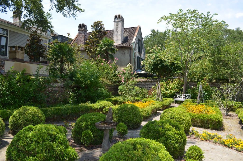 The backyard garden