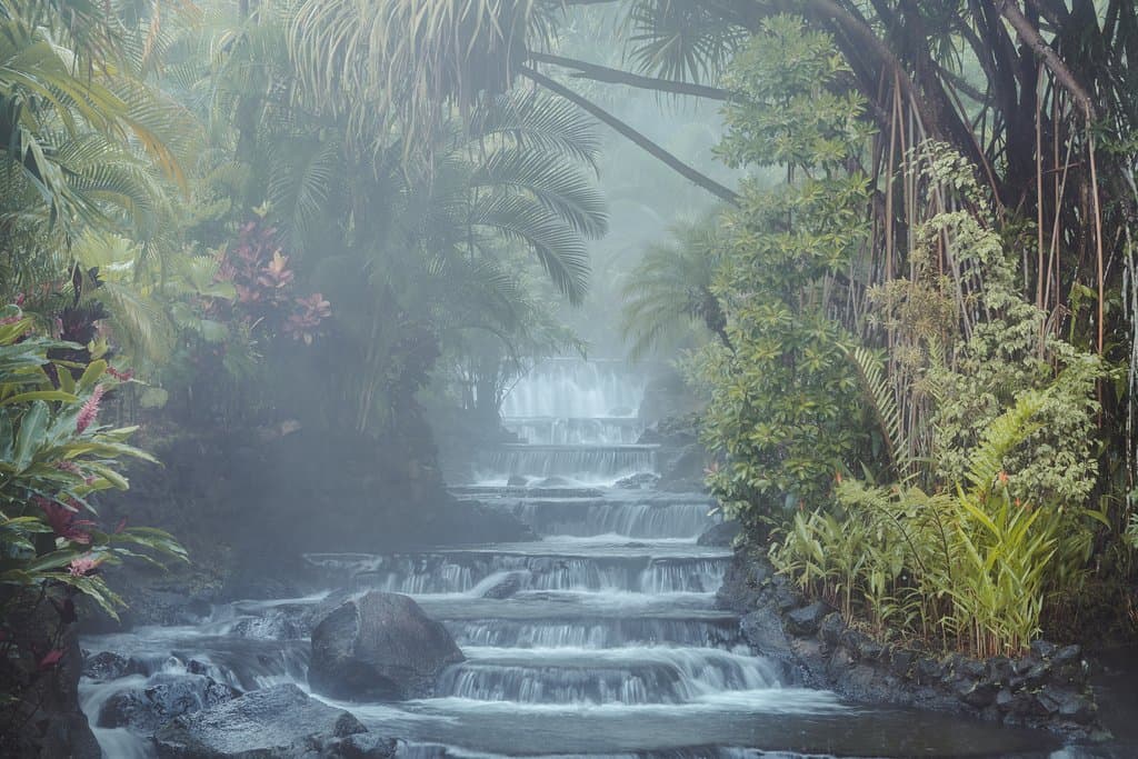 Thermal paradise in the heart of the Rainforest.