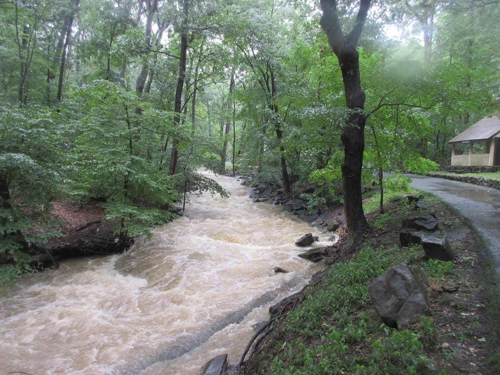 The creek runs through the park