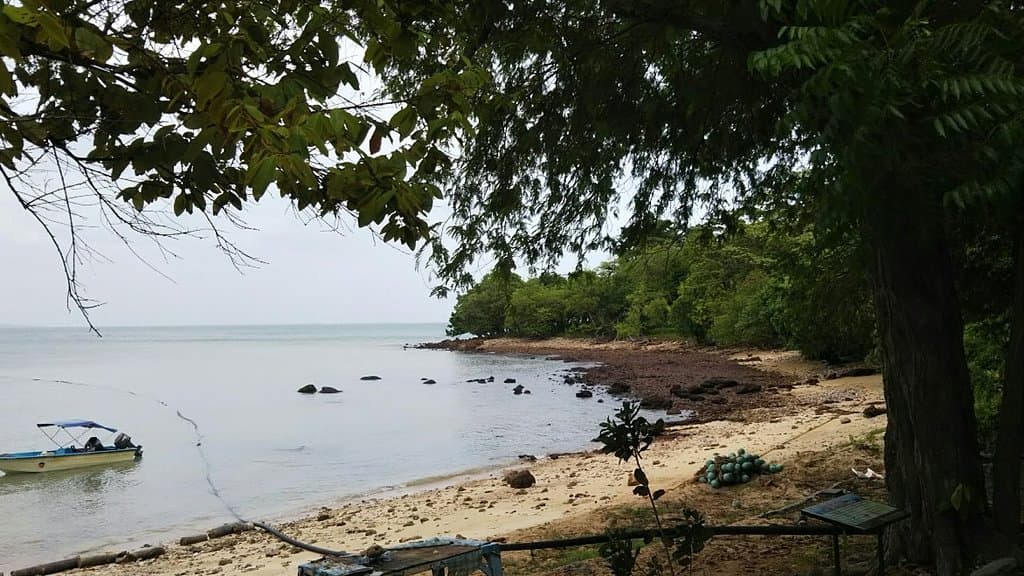 Ko Kudi