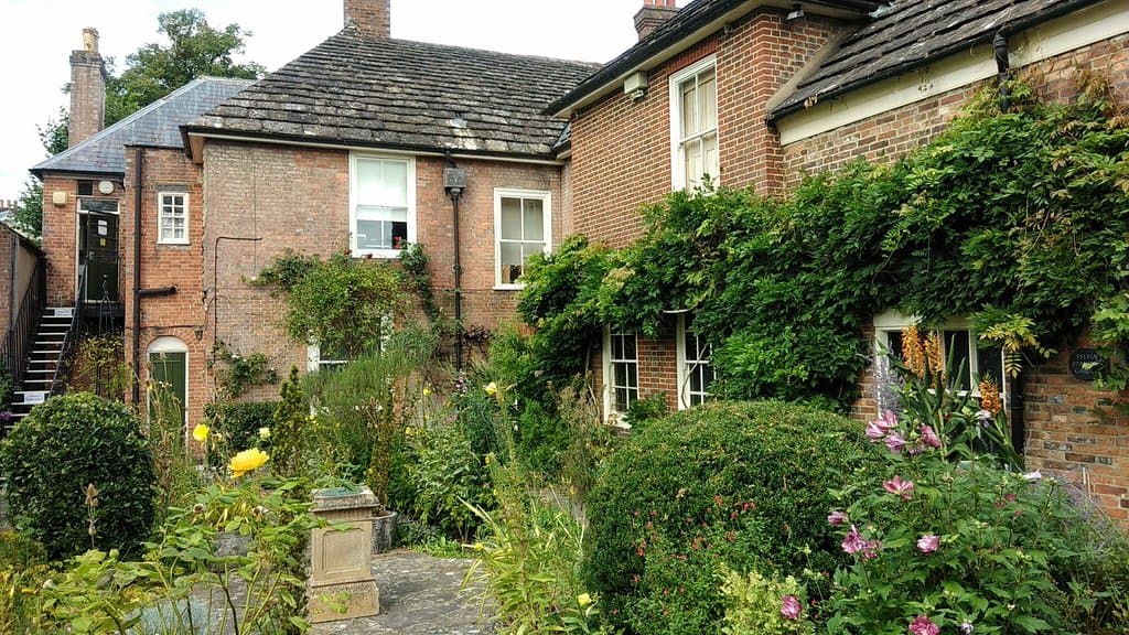 The garden.